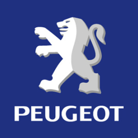 [Obr.: 21307-planzeta-rc-key-peugeot.jpg]