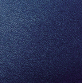 [Obr.: 21979-vp110-midnight-blue.jpg]