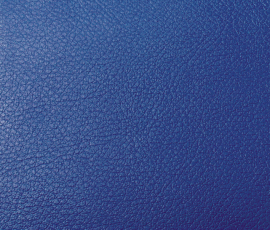[Obr.: 21980-vp120-blue.jpg]