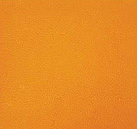 [Obr.: 21989-vp20-orange.jpg]