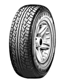 [Obr.: 69689-dunlop-205-70-r15-grandtrek-st1-95s.jpg]